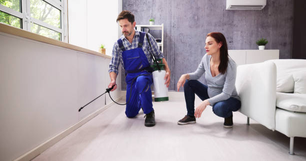 Best Residential Pest Control  in Silver Bay, MN